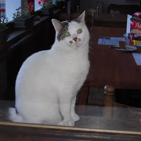 Les Seracs Val-dʼIsère